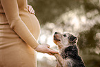 pregnant woman and Border Terrier
