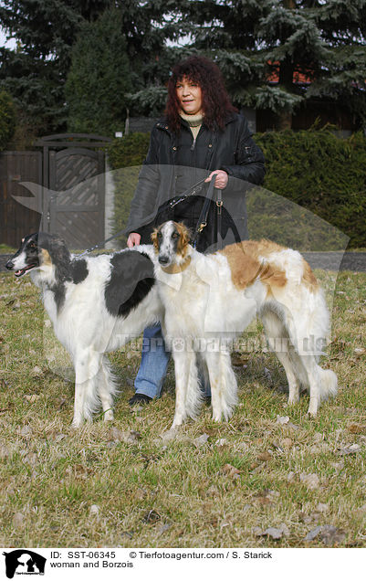 Frau und Barsois / woman and Borzois / SST-06345
