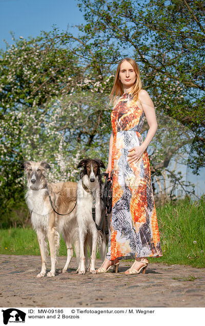 Frau und 2 Barsois / woman and 2 Borzois / MW-09186