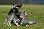 man with dogs