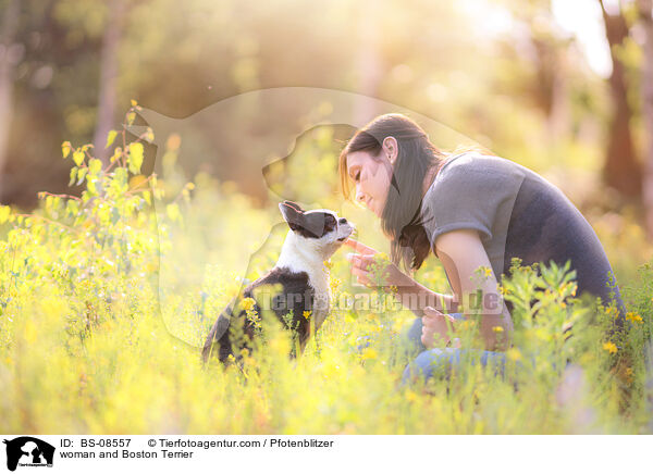 Frau und Boston Terrier / woman and Boston Terrier / BS-08557