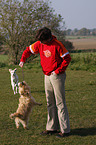 playing Cairn Terrier