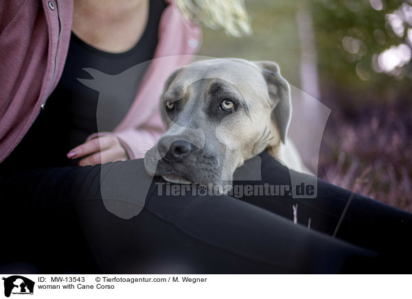 woman with Cane Corso / MW-13543