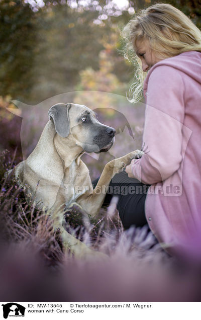 woman with Cane Corso / MW-13545