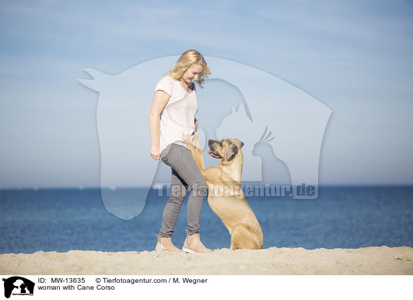 woman with Cane Corso / MW-13635