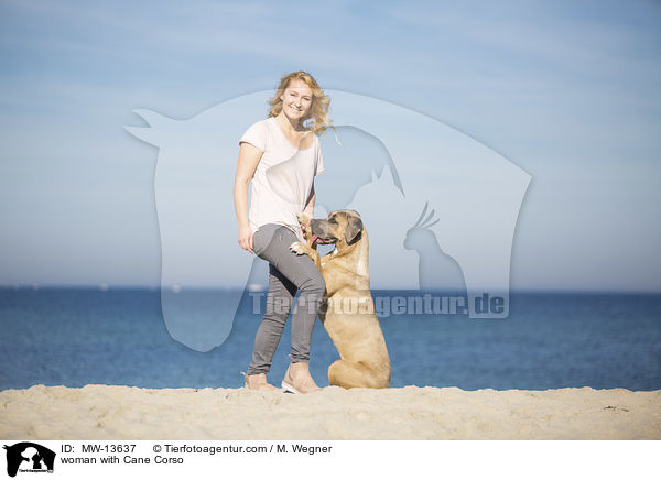 woman with Cane Corso / MW-13637