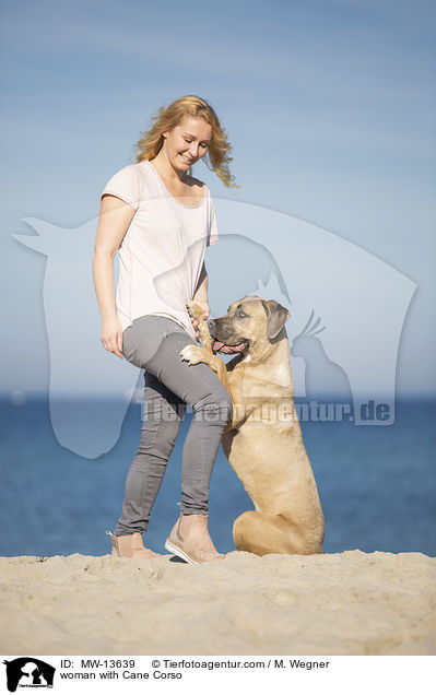woman with Cane Corso / MW-13639