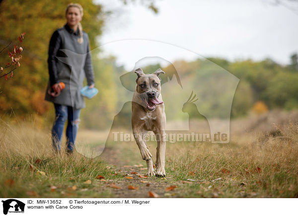 woman with Cane Corso / MW-13652