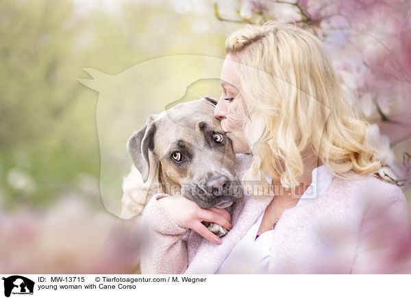 young woman with Cane Corso / MW-13715