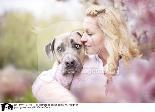 young woman with Cane Corso / MW-13716