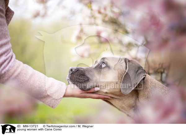young woman with Cane Corso / MW-13721