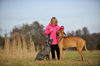 child and 2 Cane Corsos