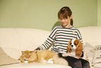 girl with Siberian Cat and Cavalier King Charles Spaniel