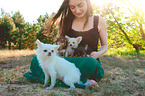 woman and longhaired Chihuahuas