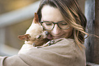 Chihuahua