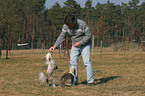 man feeds Chinese Crested Dogs