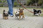 go for a walk