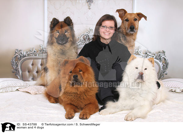 Frau und 4 Hunde / woman and 4 dogs / SS-43788