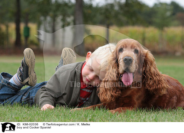 Junge und Cocker Spaniel / boy and Cocker Spaniel / KMI-02036