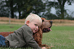 boy and Cocker Spaniel