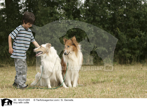 boy with collie / SG-01265