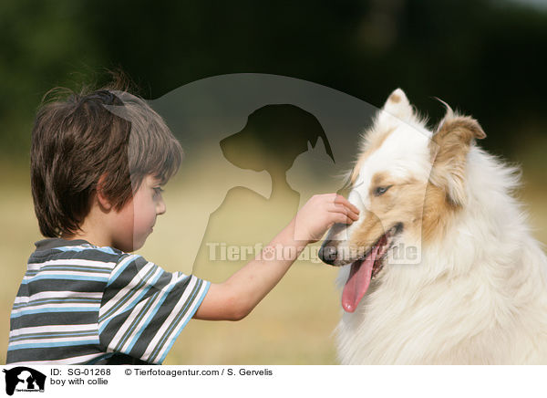 Kind mit Collie / boy with collie / SG-01268