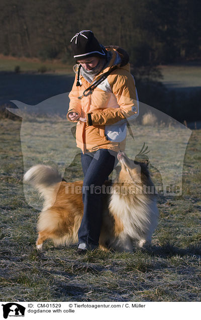 Dogdance mit Langhaarcollie / dogdance with collie / CM-01529