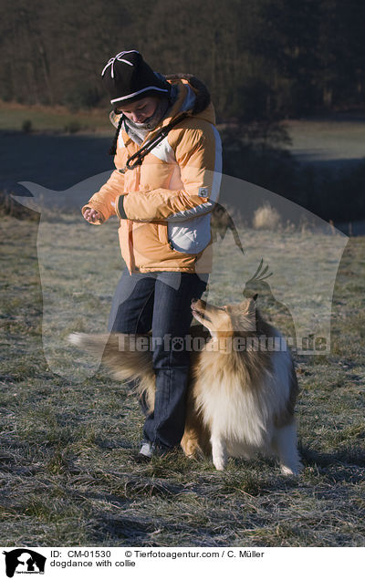 Dogdance mit Langhaarcollie / dogdance with collie / CM-01530