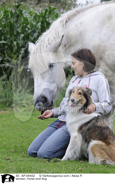 woman, horse and dog / AP-06402