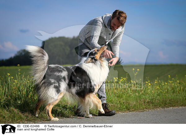 Mann und Langhaarcollie / man and longhaired Collie / CDE-02486