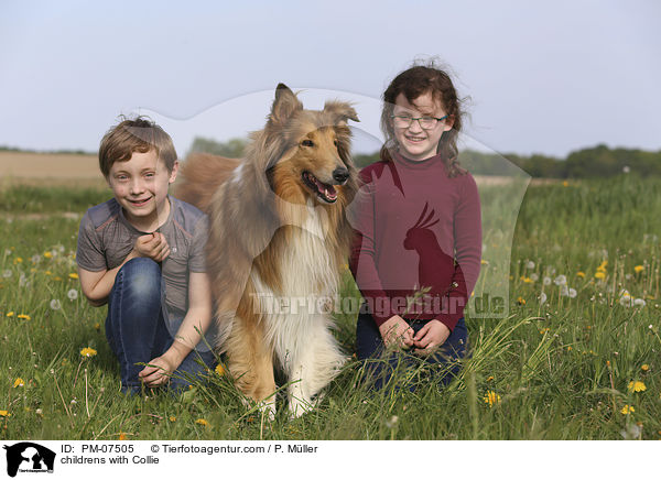 Kinder mit Collie / childrens with Collie / PM-07505
