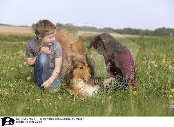 Kinder mit Collie / childrens with Collie / PM-07507