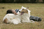 boy with collie