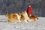 running Collies