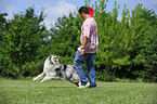 playing Collie