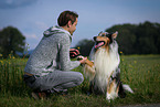 man and longhaired Collie