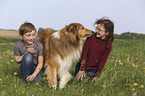 childrens with Collie