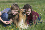 childrens with Collie