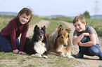 childrens with Collie and Sheltie