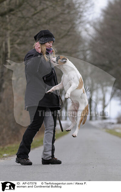 Frau und Continental Bulldog / woman and Continental Bulldog / AP-07578