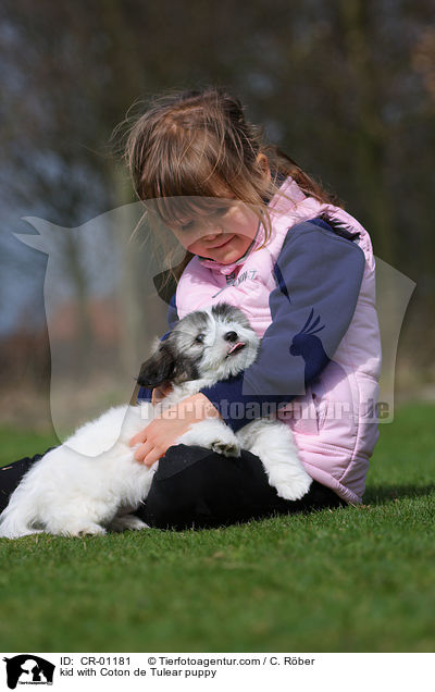 kid with Coton de Tulear puppy / CR-01181