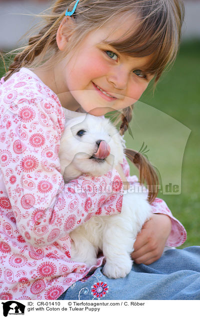 girl with Coton de Tulear Puppy / CR-01410