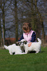 kid with Coton de Tulear puppies