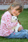 girl with Coton de Tulear Puppy