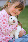 girl with Coton de Tulear Puppy