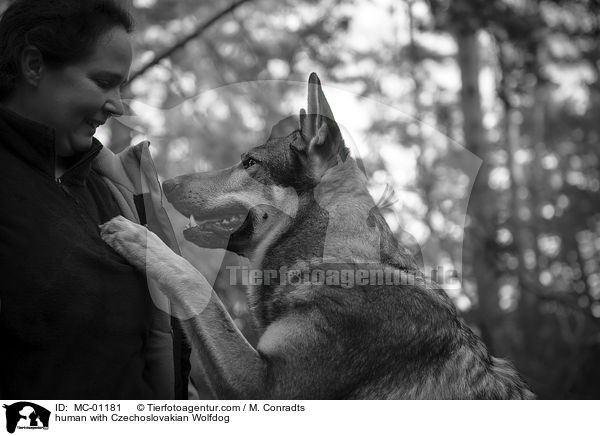 Mensch mit Tschechoslowakischer Wolfshund / human with Czechoslovakian Wolfdog / MC-01181