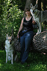 woman and Czechoslovakian wolfdogs