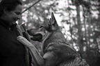 human with Czechoslovakian Wolfdog