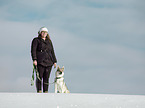Czechoslovakian Wolfdog in the snow
