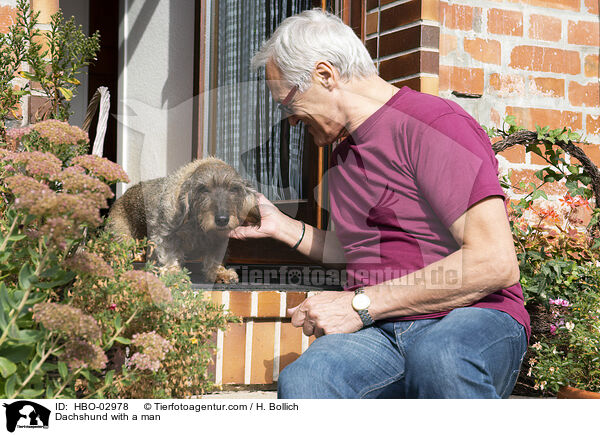 Dackel mit Mann / Dachshund with a man / HBO-02978